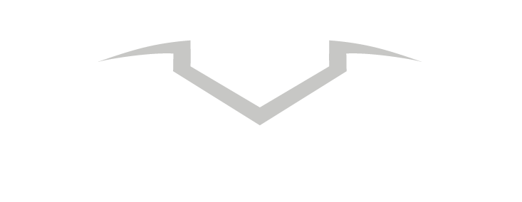 Paul Motors logo